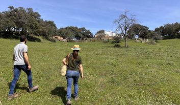 Eco-Challenge 1: Did you know...? image