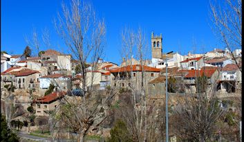Fermoselle image