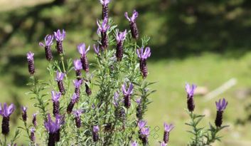 Eco-Reto 10: Quiz image