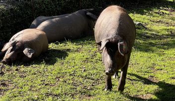 Eco-Reto 2: ¿Sabías que...? image