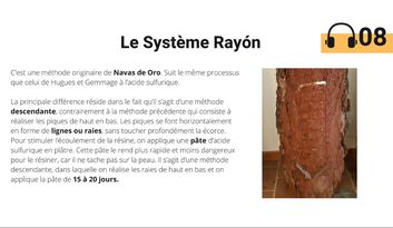 8. Le système de Rayón image