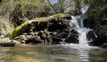 Eco-Reto 8: ¿Sabías que...? image