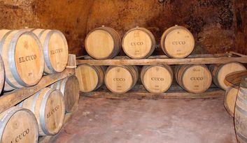 Sanzoles. Architecture image