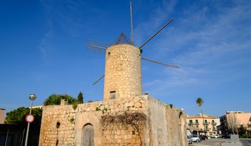 Windmills and Es Quadrat: The Agricultural Soul of Llucmajor image