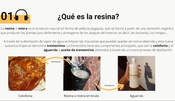 1. ¿Qué es la resina? image