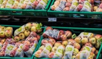 Carbellino.Servicios image