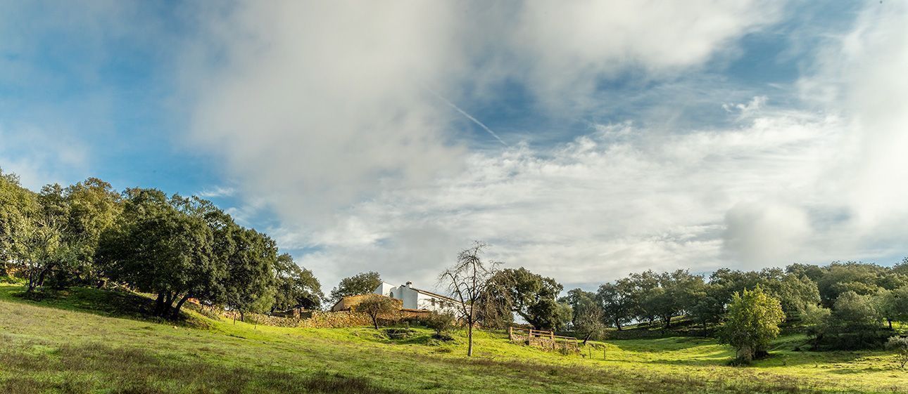 Bienvenidos a Nature Space Jabugo